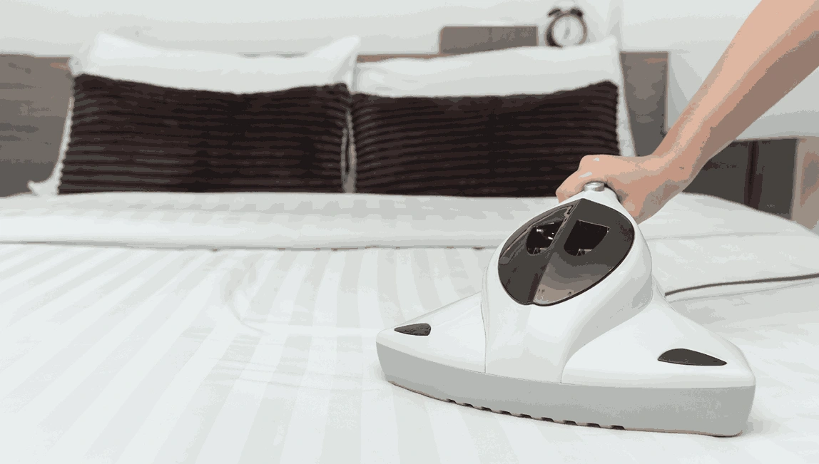 Professional Mattress Cleaning Corio